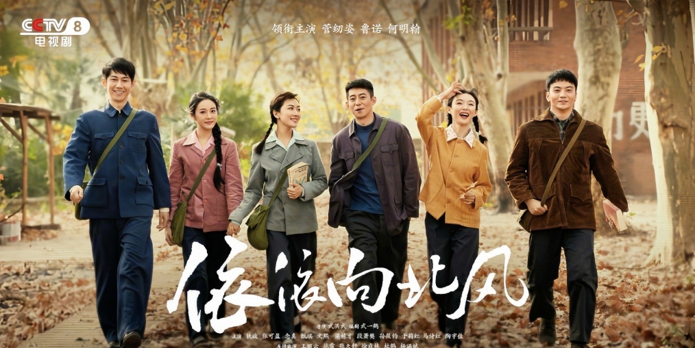 爆款剧《依依向北风》网友真实口碑出炉